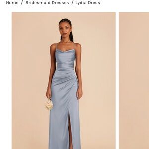 Birdy Grey Lydia Dress in dusty blue